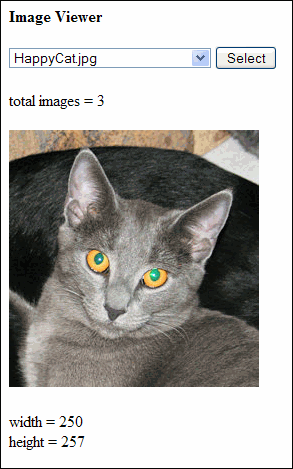 PHP image viewer